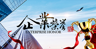 公司荣誉